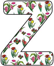 Tulpen-Buchstabe-Z.jpg